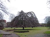 Idag 2004-02-08 032.jpg